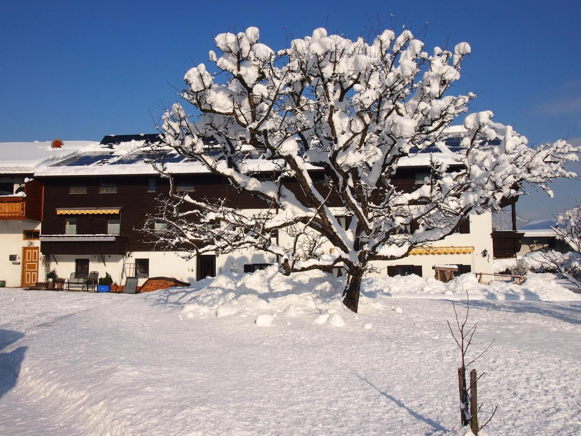 Pension Wagnerhof Oberaudorf Luaran gambar